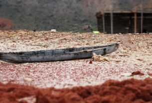 Barco de pequeno porte em uma das praias da Ilha de Socotra no Iemen