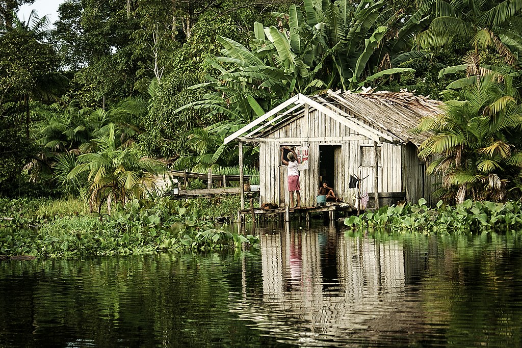 Palafita localizada junto as águas de um rio, reflexo da palafita nas águas do rio, densa vegetação ribeirinha atrás da palafita, onde mora uma família (uma senhora de costas para foto mexendo na abertura onde seria janela, sem vidros, e uma criança sentada na abertura onde fica a porta de entrada, no Parque Estadual Charapucu, Afuá, Ilha de Marajó.