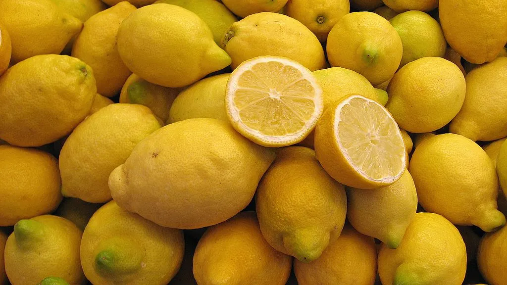 Mais de 30 limões Siciliano, provavelmente dispostos em uma feira de frutas. Os benefícios do limão Siciliano são diversos ao corpo humano.